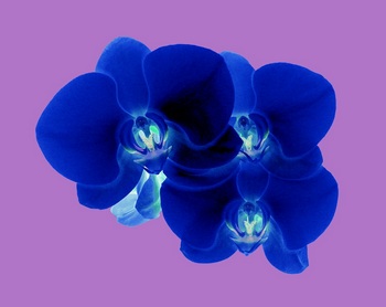 F 041E